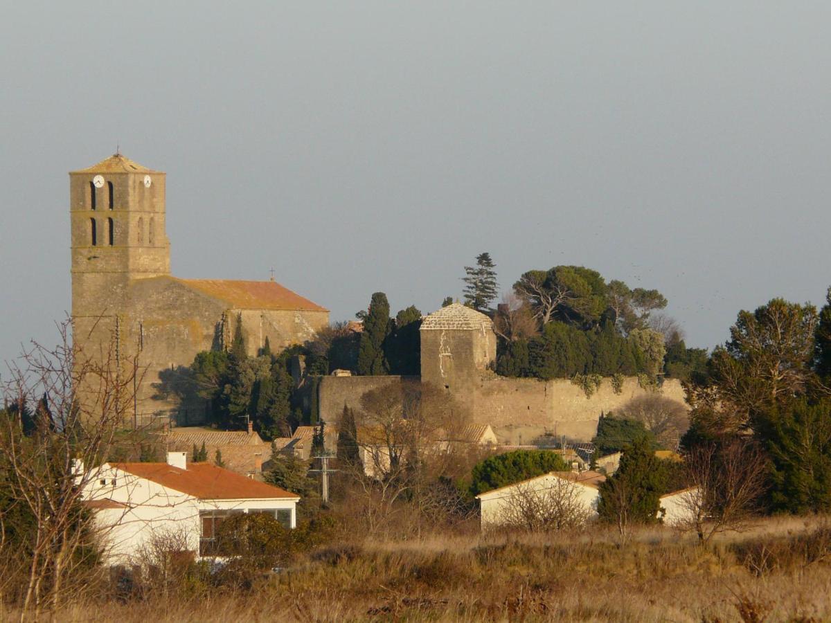 Chateau De Puicheric Exteriér fotografie